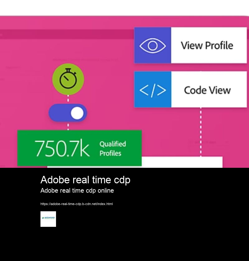 Adobe real time cdp Adobe real time cdp online Can you provide an Adobe CDP review?